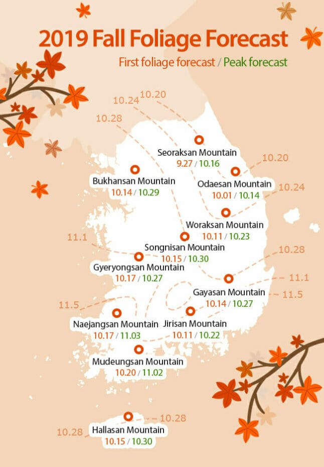 The Best Fall Foliage in Korea - Trazy Tour to Daedunsan 2