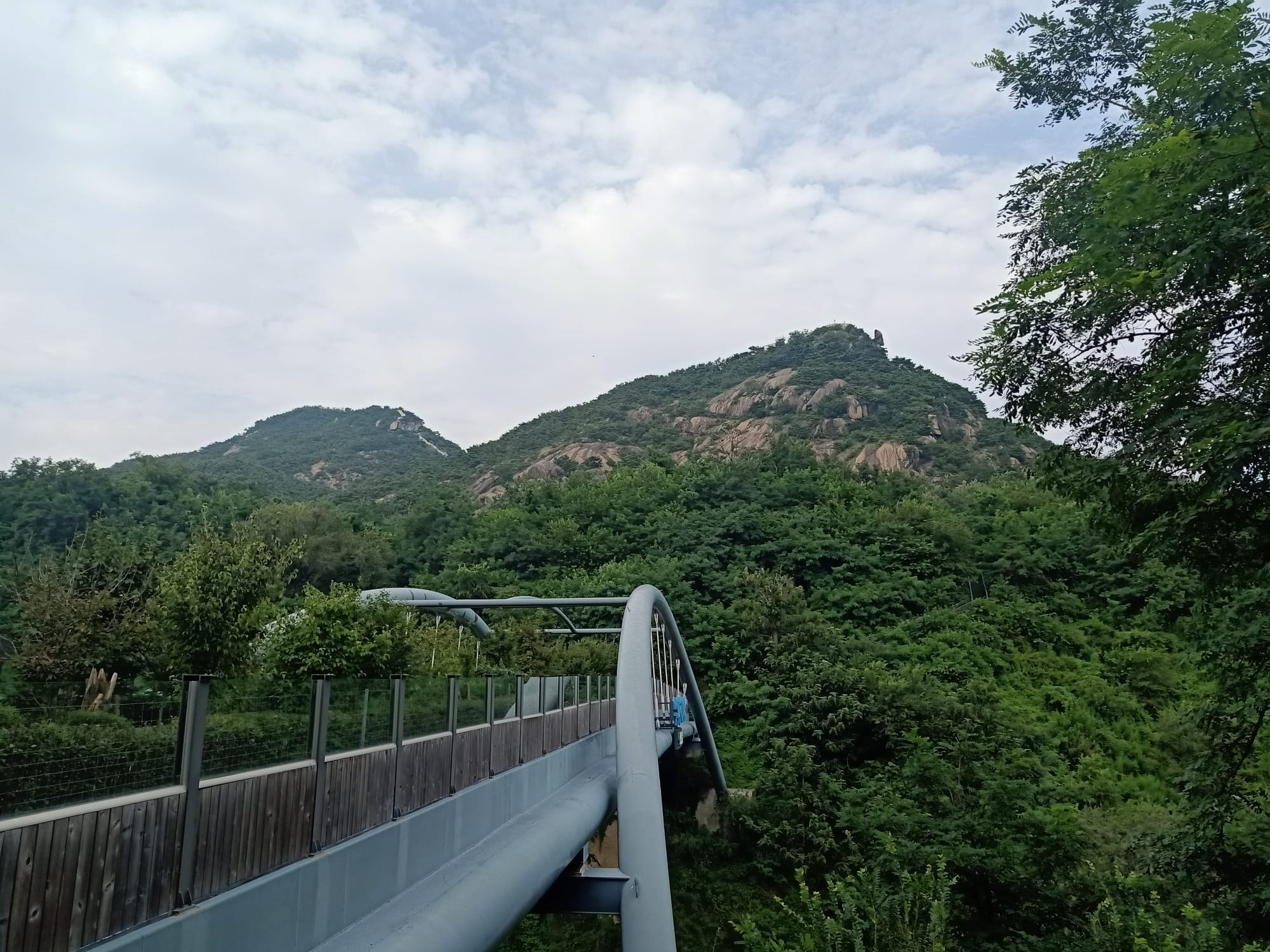 Summer Getaways in Seoul - 20+ Ways to Experience Nature in Seoul During Summer 15