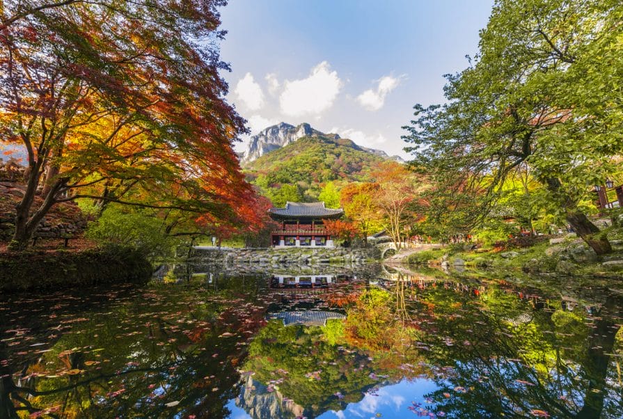 Autumn in Korea – Autumn Activities, Autumn Weather and More! 14