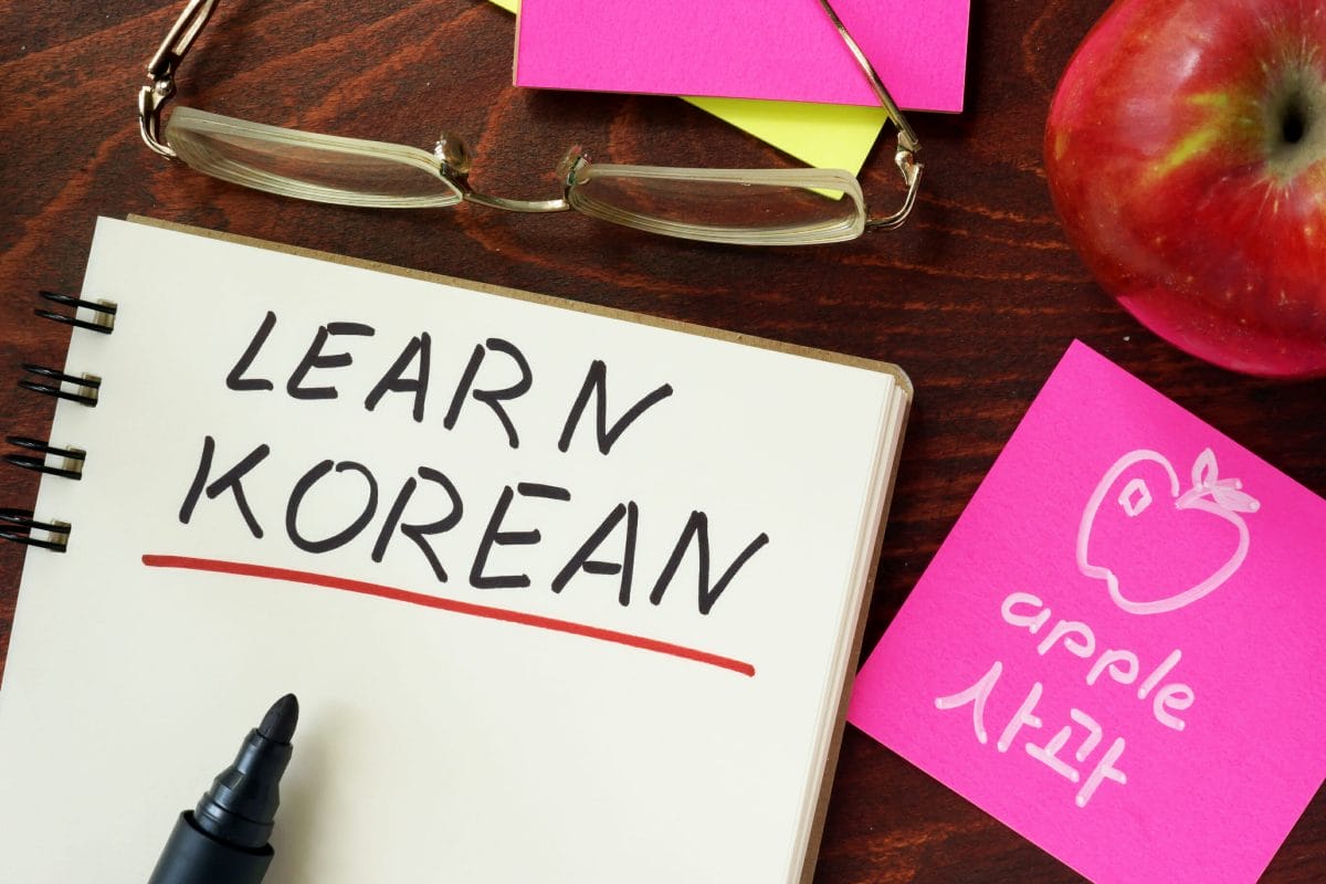 22+ Best Ways to Learn Korean (Including Best Ways to Learn Korean for Free!) 24