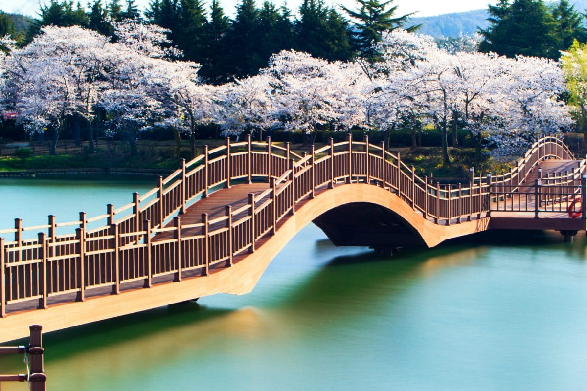 Spring in Korea – Spring Activities, Spring Weather and More! 16
