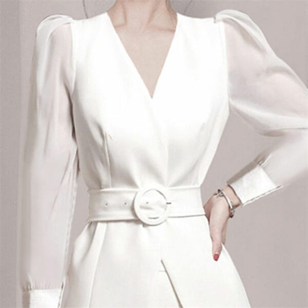 Boutique Fashion V-neck Belt Waist Pleated Slim Dress Set 3