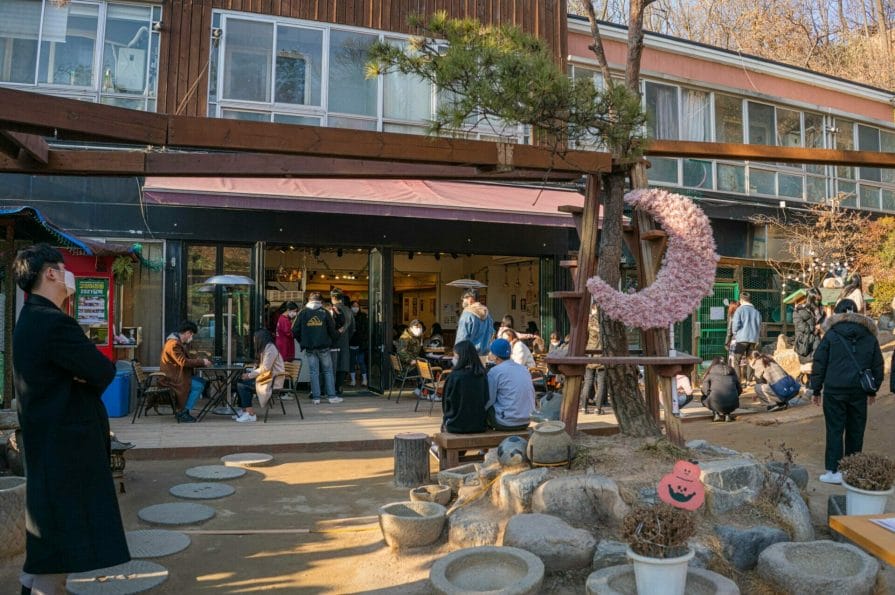 Cat Lover Garden in Seoul - More Than a Cat Cafe! 9