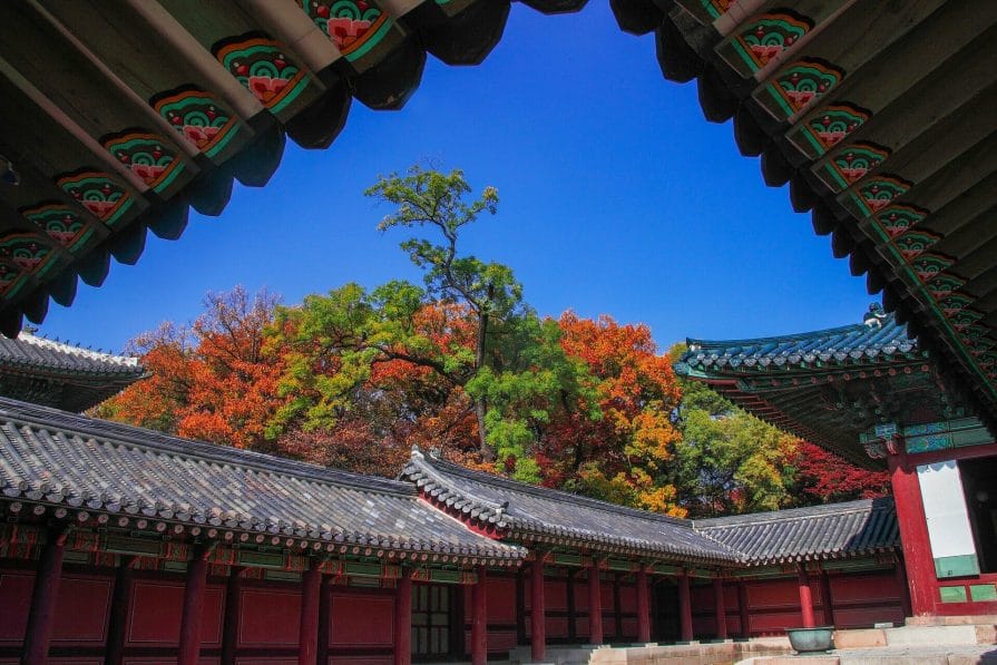 Why You Shouldn't Visit Gyeongbokgung Palace 8