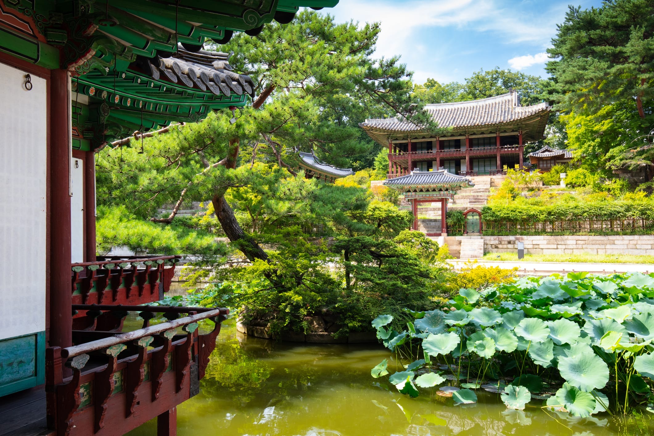 Summer Getaways in Seoul - 20+ Ways to Experience Nature in Seoul During Summer 21