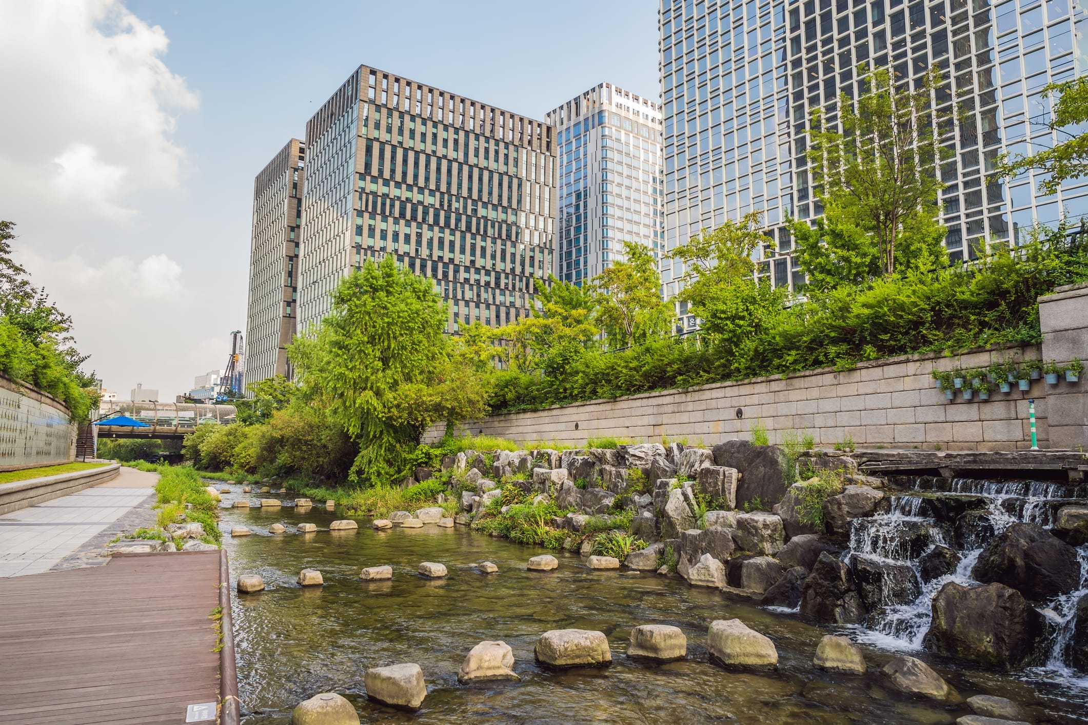 Summer Getaways in Seoul - 20+ Ways to Experience Nature in Seoul During Summer 26