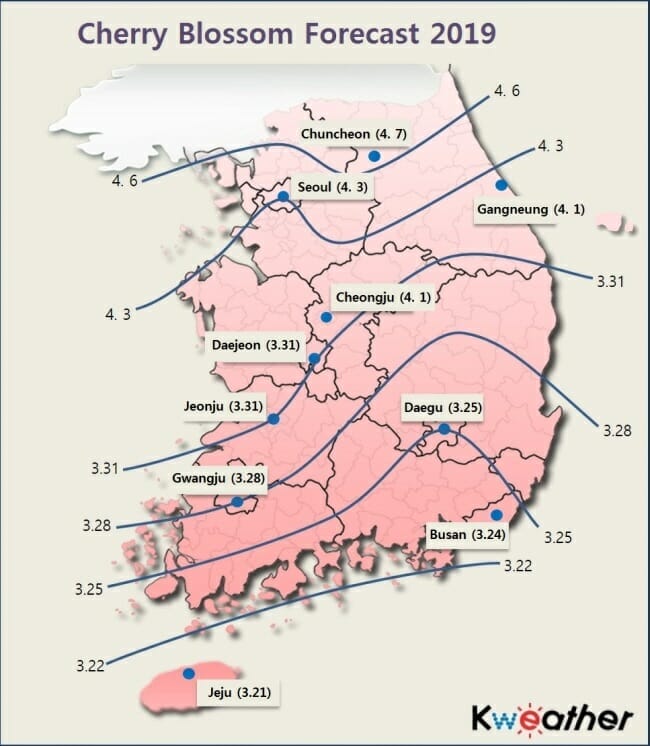 Cherry Blossom Map 2019