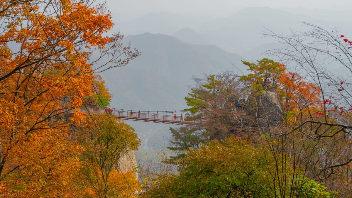 The Best Fall Foliage in Korea - Trazy Tour to Daedunsan 7