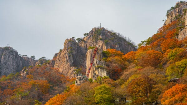 The Best Fall Foliage In Korea - Trazy Tour To Daedunsan