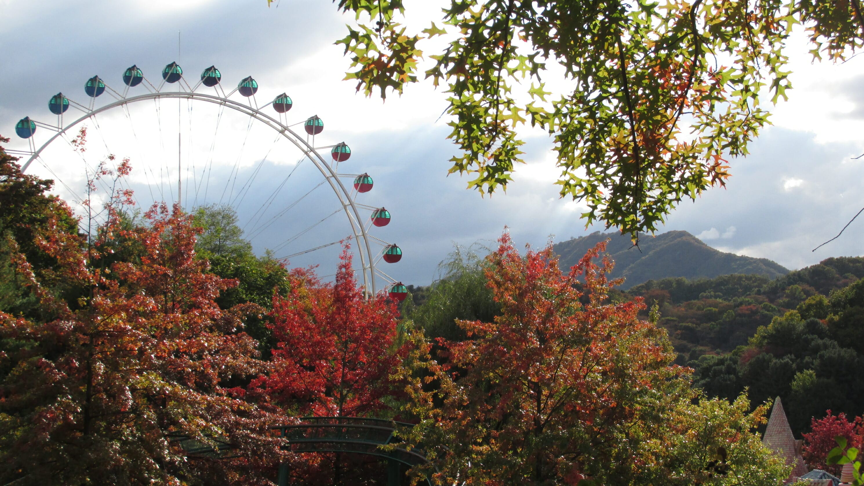 Everland Ferris Wheel 