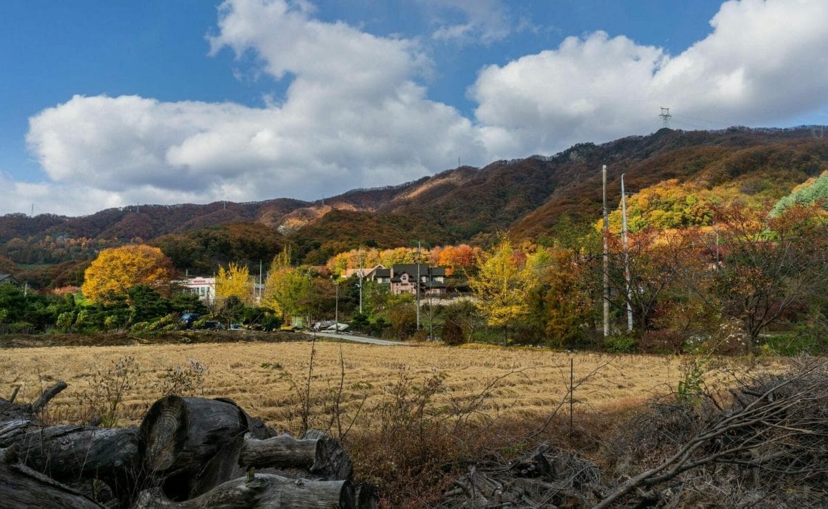 Colourful Korean Countryside