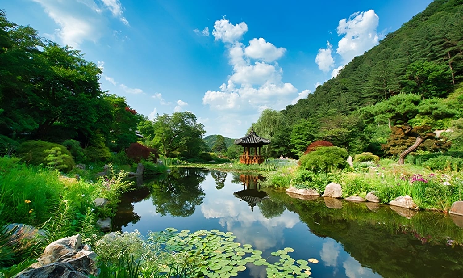 Summer Getaways in Seoul - 20+ Ways to Experience Nature in Seoul During Summer 32