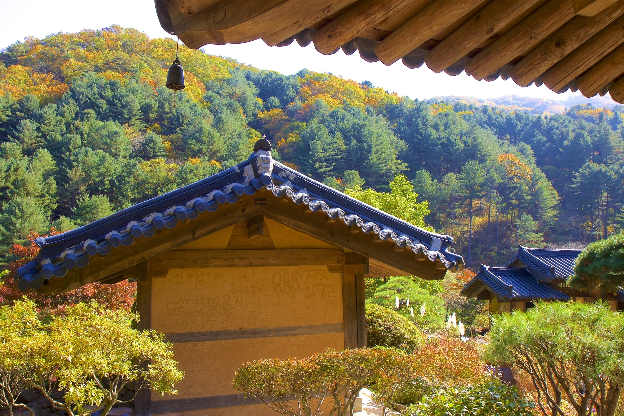 Summer Getaways in Seoul - 20+ Ways to Experience Nature in Seoul During Summer 22