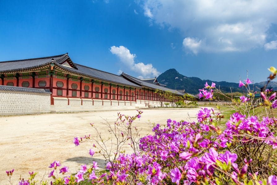 Spring in Korea – Spring Activities, Spring Weather and More! 3