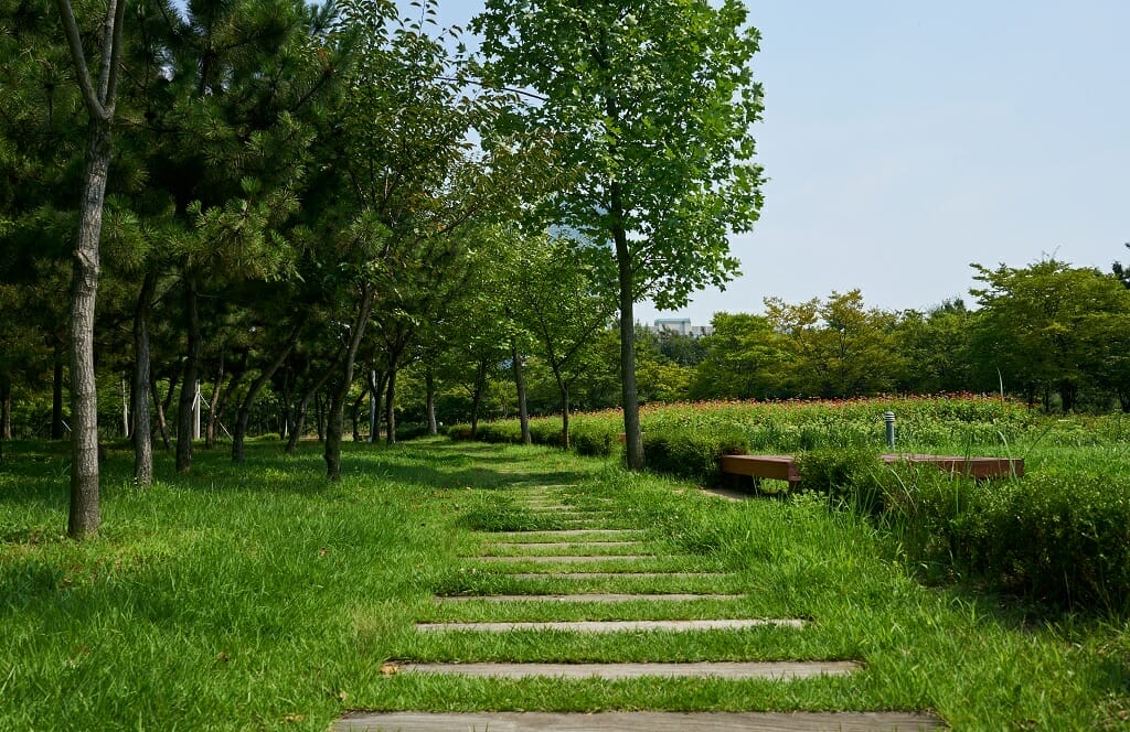 Haedoji-Park-Path