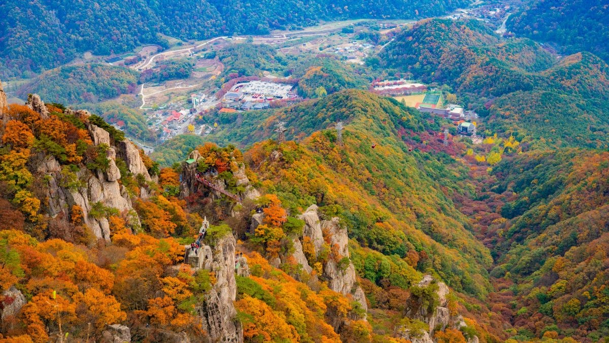 Autumn in Korea – Autumn Activities, Autumn Weather and More! 8