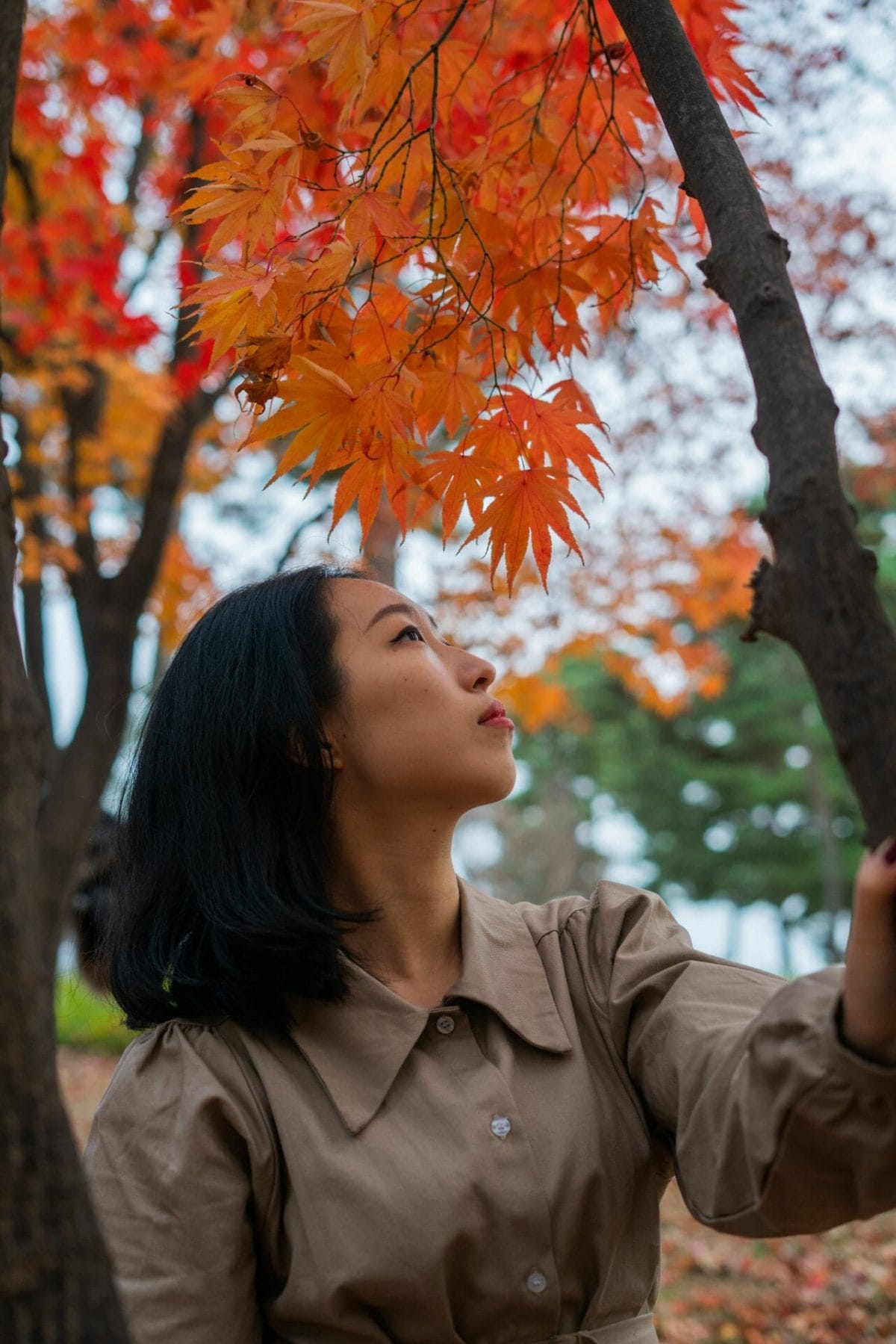 Fall Colours South Korea