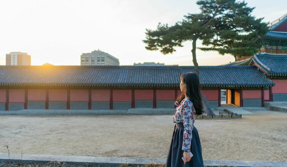Why You Shouldn't Visit Gyeongbokgung Palace 7