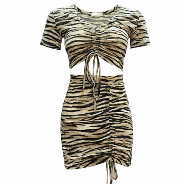 Modern Sexy Draw-string V-neck Leopard Slim Dress Set 5