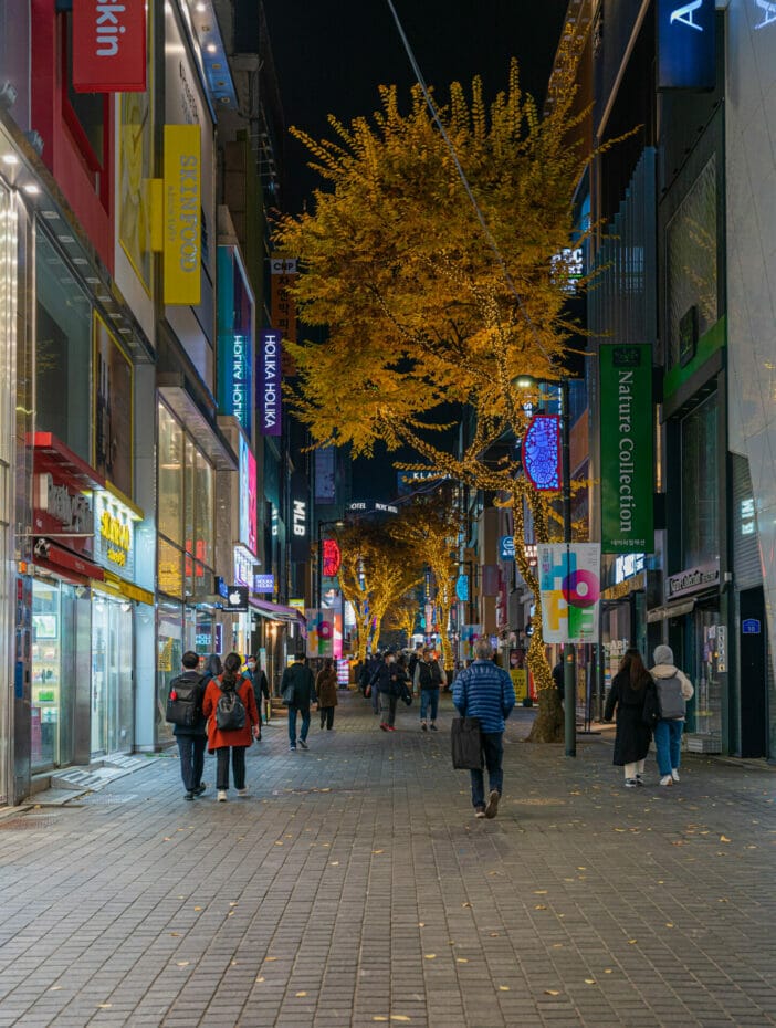 Must-Visit Seoul Streets - 21 Streets in Seoul Worth Visting 2