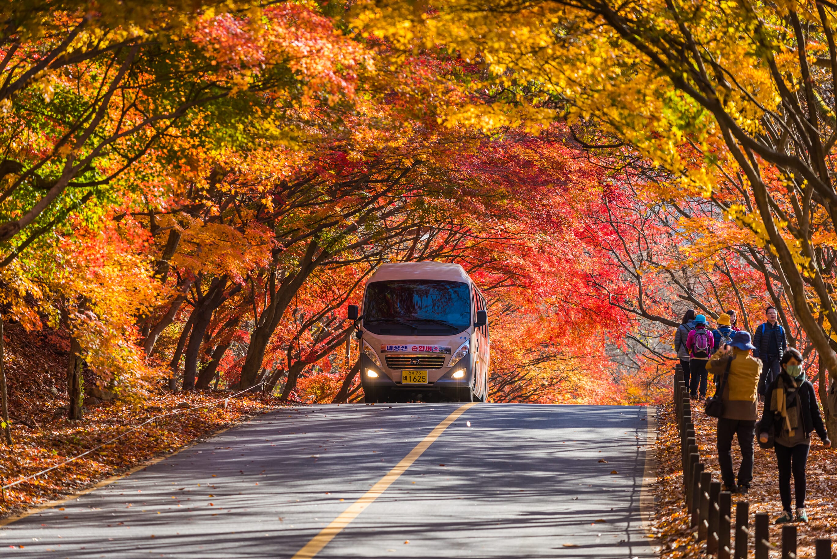 Autumn in Korea – Autumn Activities, Autumn Weather and More! 13