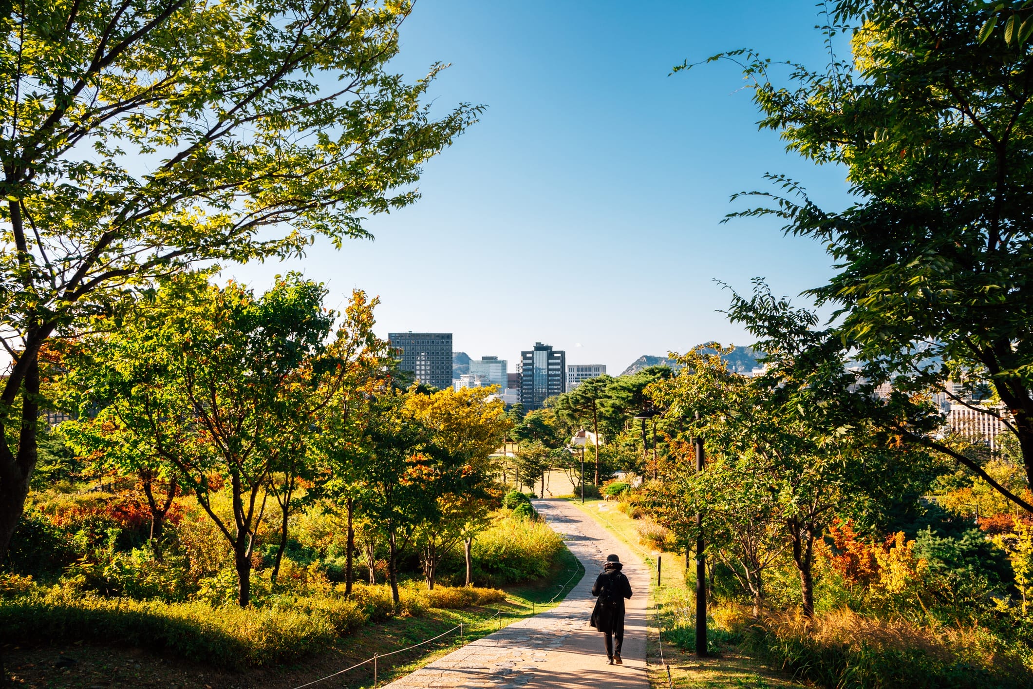 Summer Getaways in Seoul - 20+ Ways to Experience Nature in Seoul During Summer 6