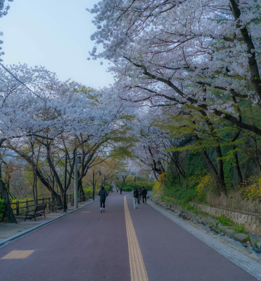 Namsan Park