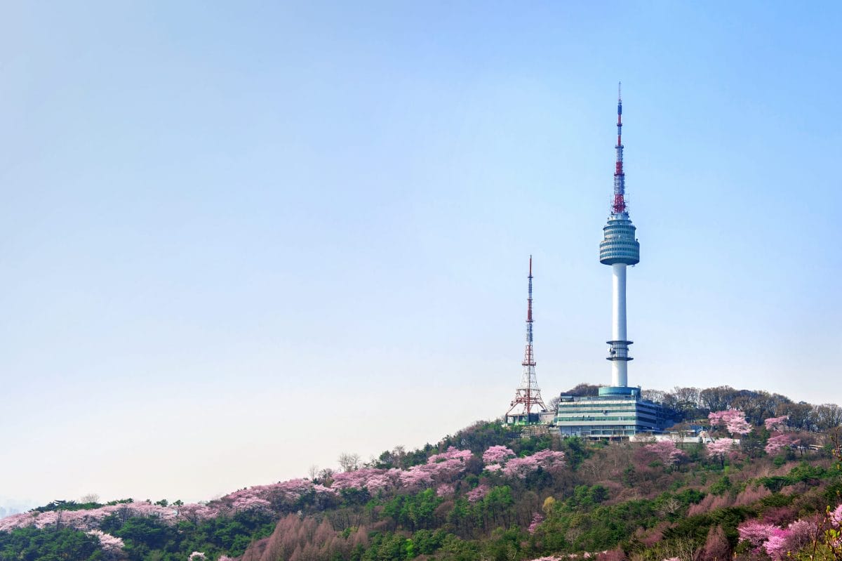 Spring in Korea – Spring Activities, Spring Weather and More! 36