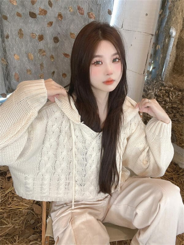 Retro Autumn 2 Colors Hollow Out Hooded Knitting Tops 4