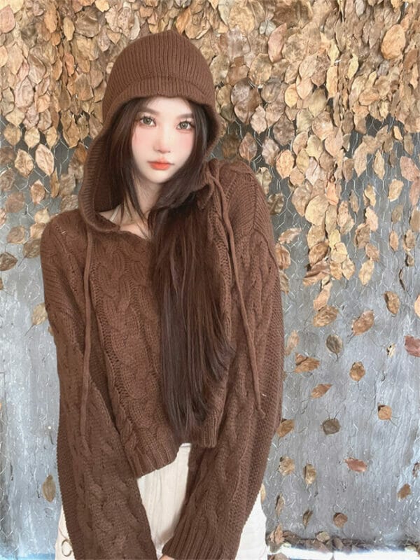 Retro Autumn 2 Colors Hollow Out Hooded Knitting Tops 3