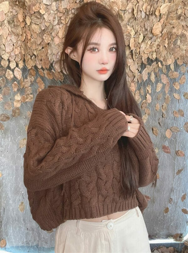 Retro Autumn 2 Colors Hollow Out Hooded Knitting Tops 1