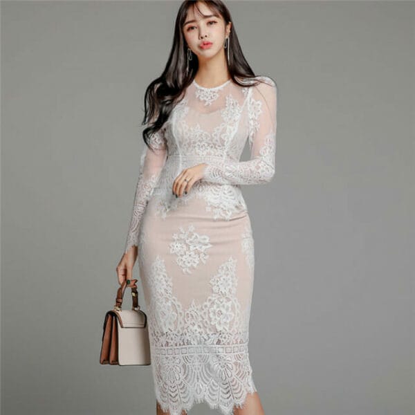 Retro Korea 2 Colors Lace Transparent Skinny Dress Set 4