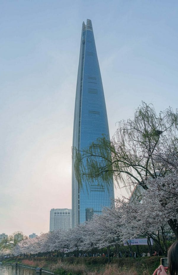 Cherry Blossoms in Front of Lotte Tower