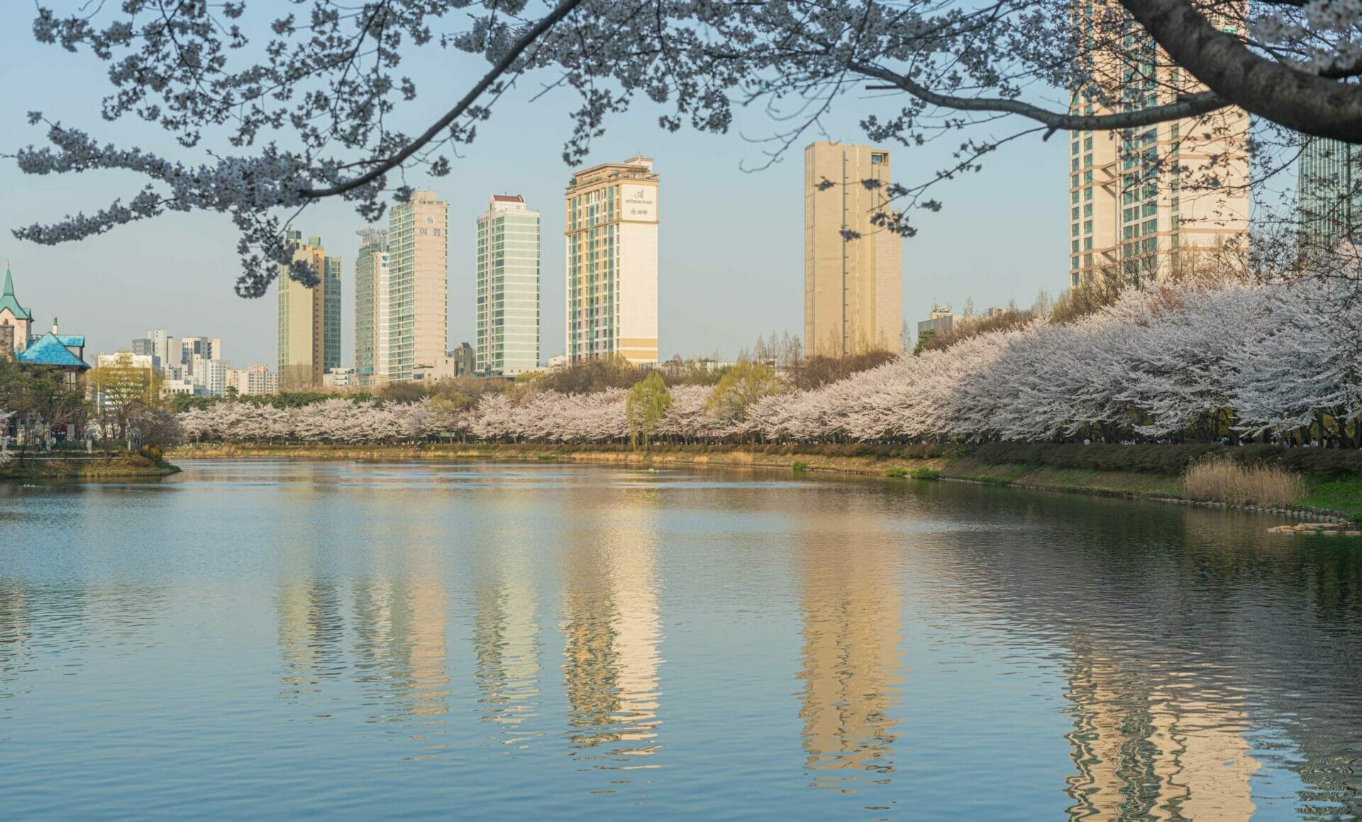 Cherry Blossoms At Seokchon Lake Park In Seoul