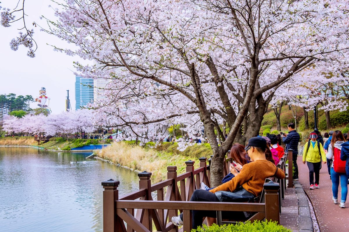 Spring in Korea – Spring Activities, Spring Weather and More! 35