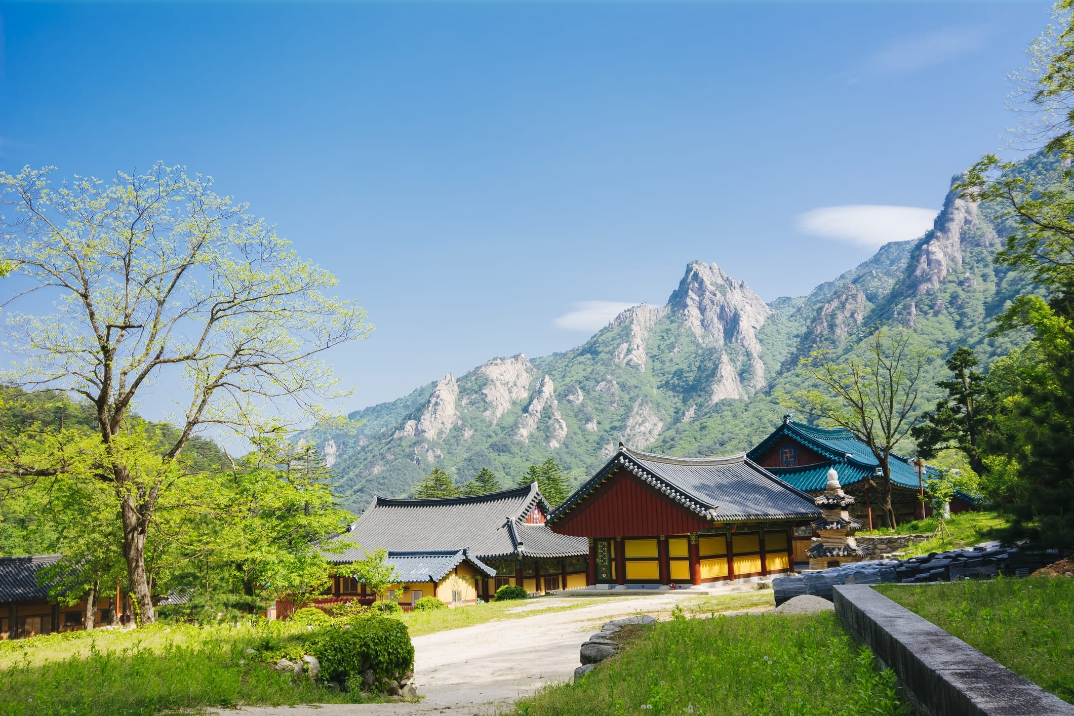 Summer Getaways in Seoul - 20+ Ways to Experience Nature in Seoul During Summer 30