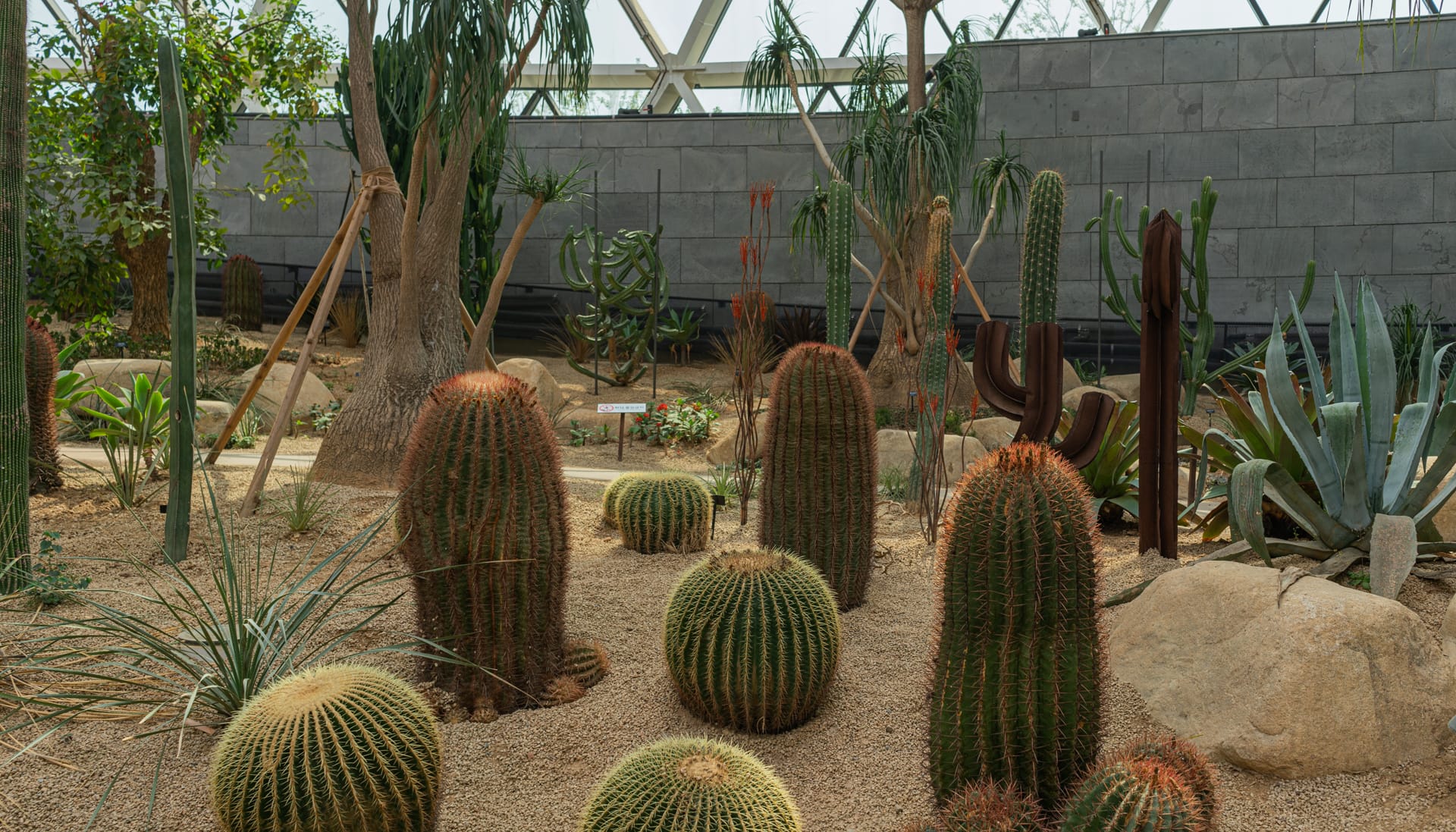 Seoul Botanic Park Arid Area