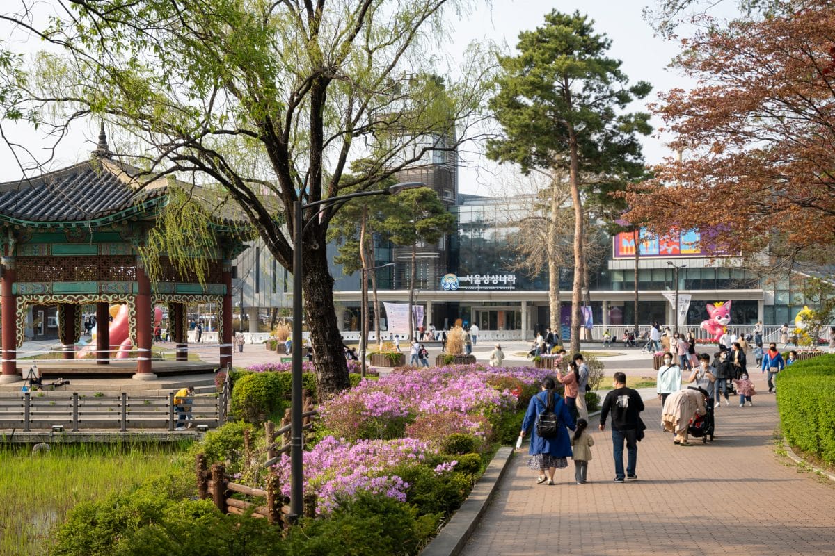 Spring in Korea – Spring Activities, Spring Weather and More! 41