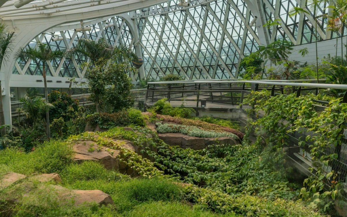 Seoul Botanic Garden