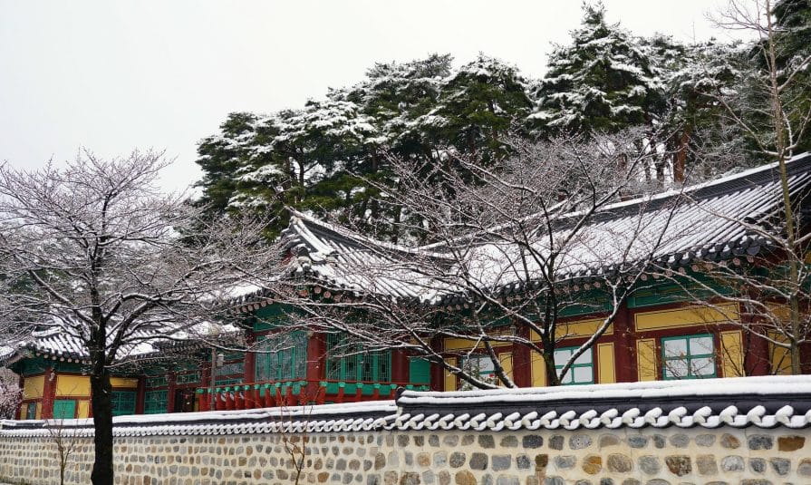 When Is the Best Season to Visit Seoul? 2