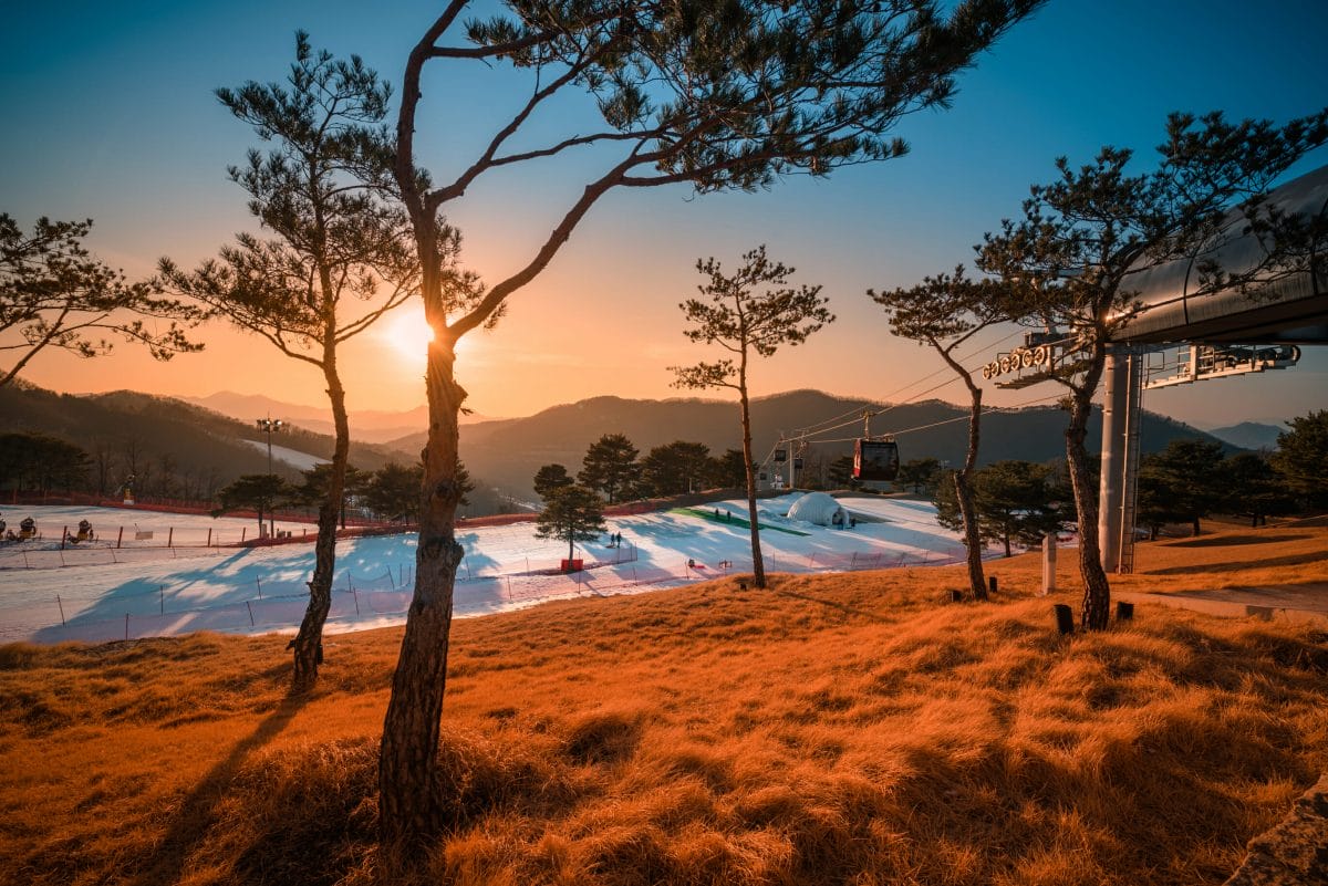 12 Best Korean Tours to Try 11