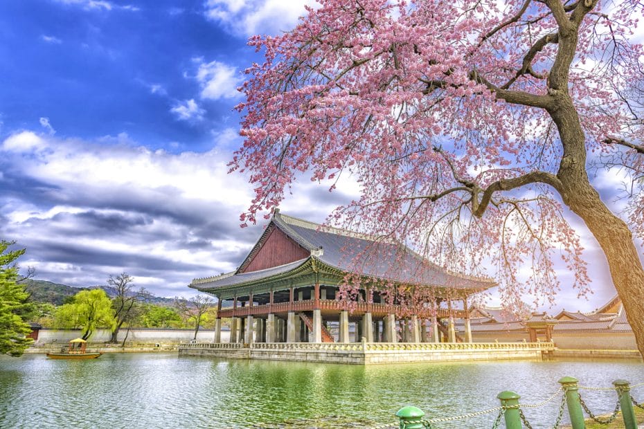 Spring in Korea – Spring Activities, Spring Weather and More! 5