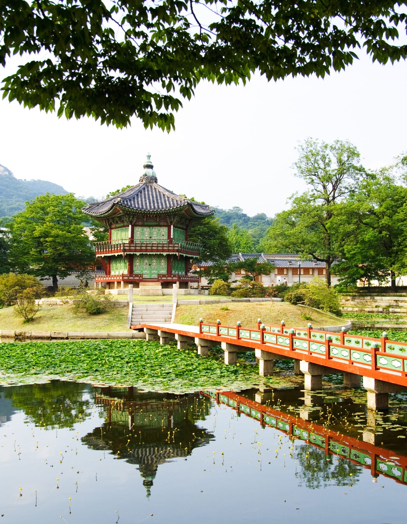Summer Getaways in Seoul - 20+ Ways to Experience Nature in Seoul During Summer 1