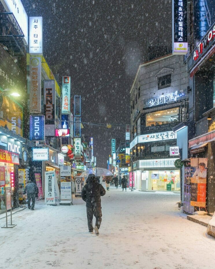 Must-Visit Seoul Streets - 21 Streets in Seoul Worth Visting 8