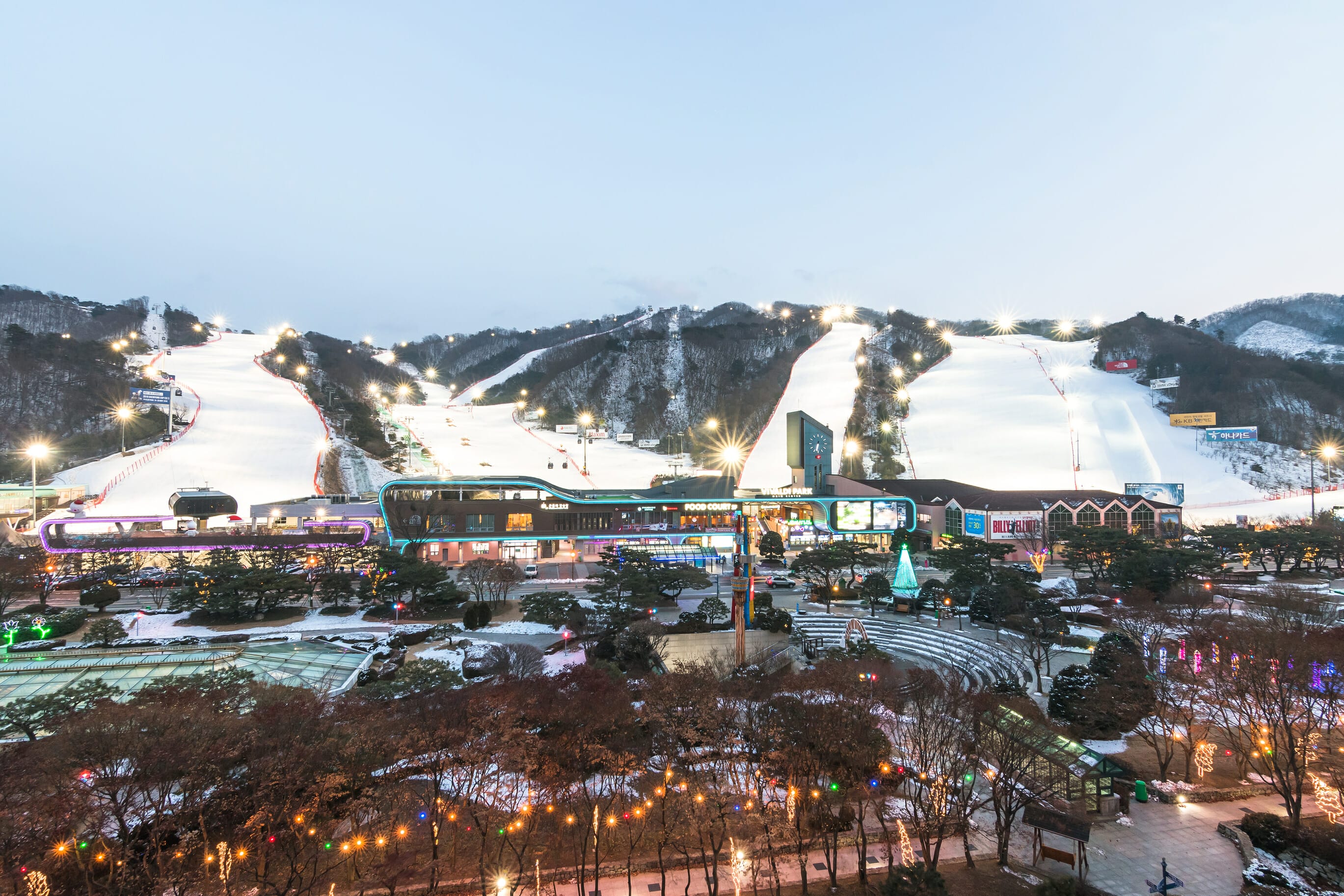 12 Best Korean Tours to Try 9