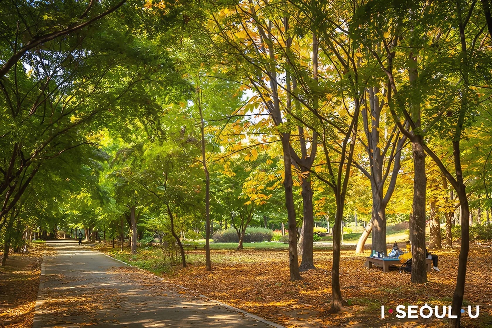 Summer Getaways in Seoul - 20+ Ways to Experience Nature in Seoul During Summer 23